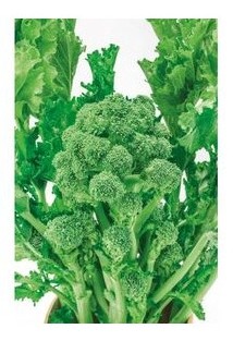 cima di rapa aprilatica