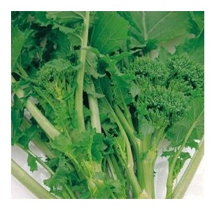 cima di rapa leccese