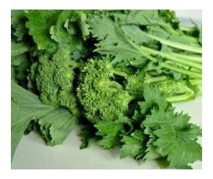 cima di rapa pugliese