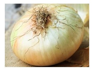 cipolla dolce giarratana