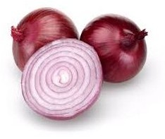 cipolla rossa di Savona