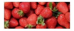 fragole rifiorenti v10