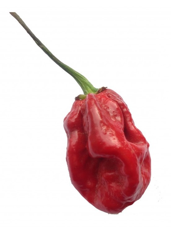 habanero caramel
