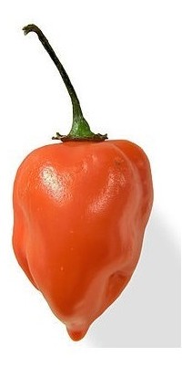 habanero orange blob