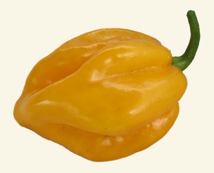 habanero yellow