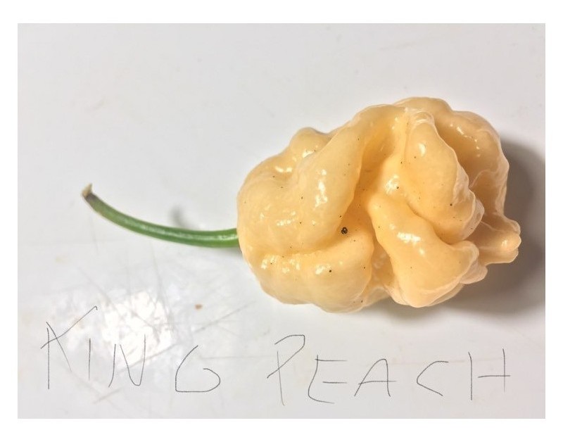 king naga peach