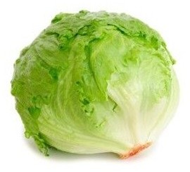 lattuga iceberg regina dei ghiacci