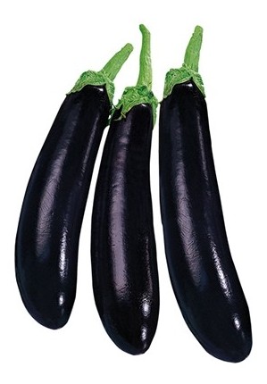 melanzana lunga nera ideal