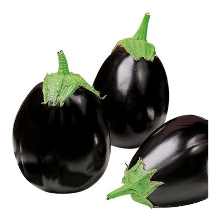 melanzana ovale nera