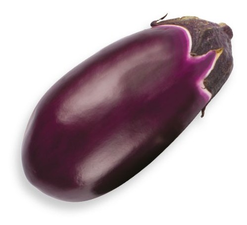 melanzana ovale violetta Seta