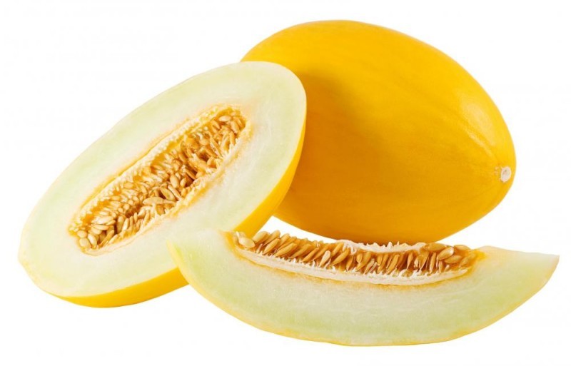 melone giallo inverno zecchino