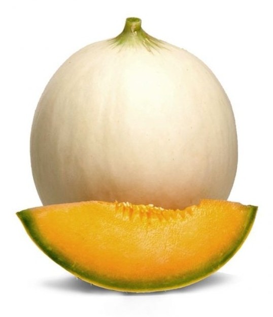 melone liscio honey moon