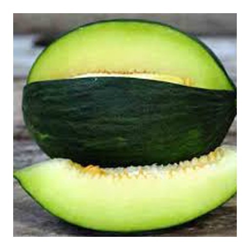 melone verde inverno tendral