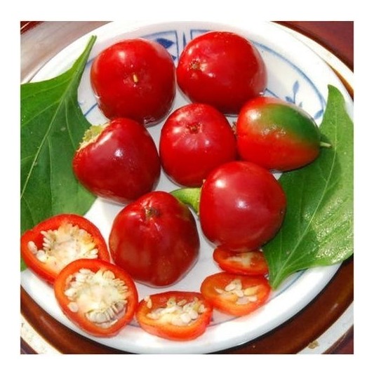 Peperoncino ciliegia