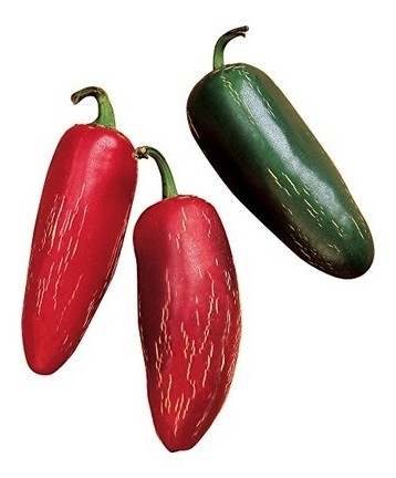 jalapeno biker billy