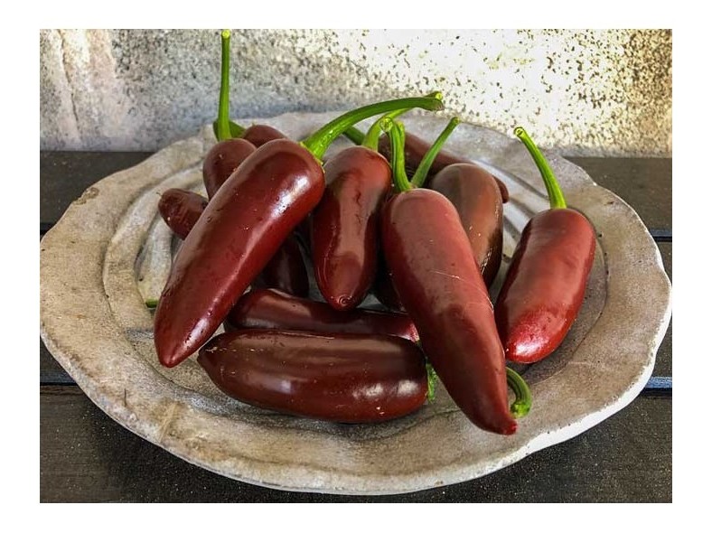 jalapeno brown