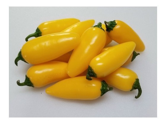 jalapeno yellow