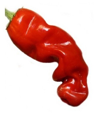 peter pepper red