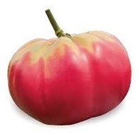 Pomodoro Belmonte