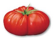 Pomodoro bistecca