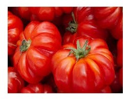 Pomodoro Casalino
