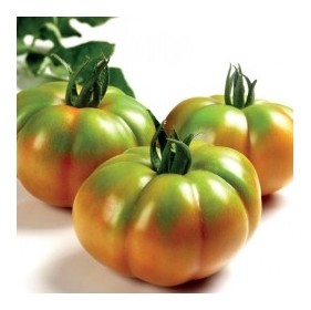 Pomodoro costoluto marmolada