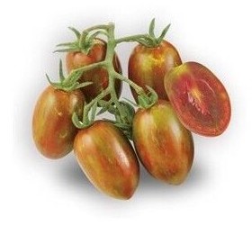 Pomodoro Crispino Plump Nero