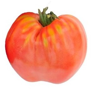 Pomodoro cuor di bue classico