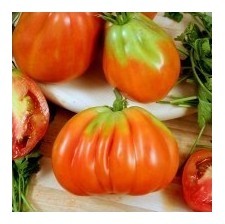 Pomodoro cuor di bue Riviera
