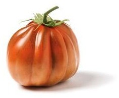 Pomodoro cuore di bue albenga