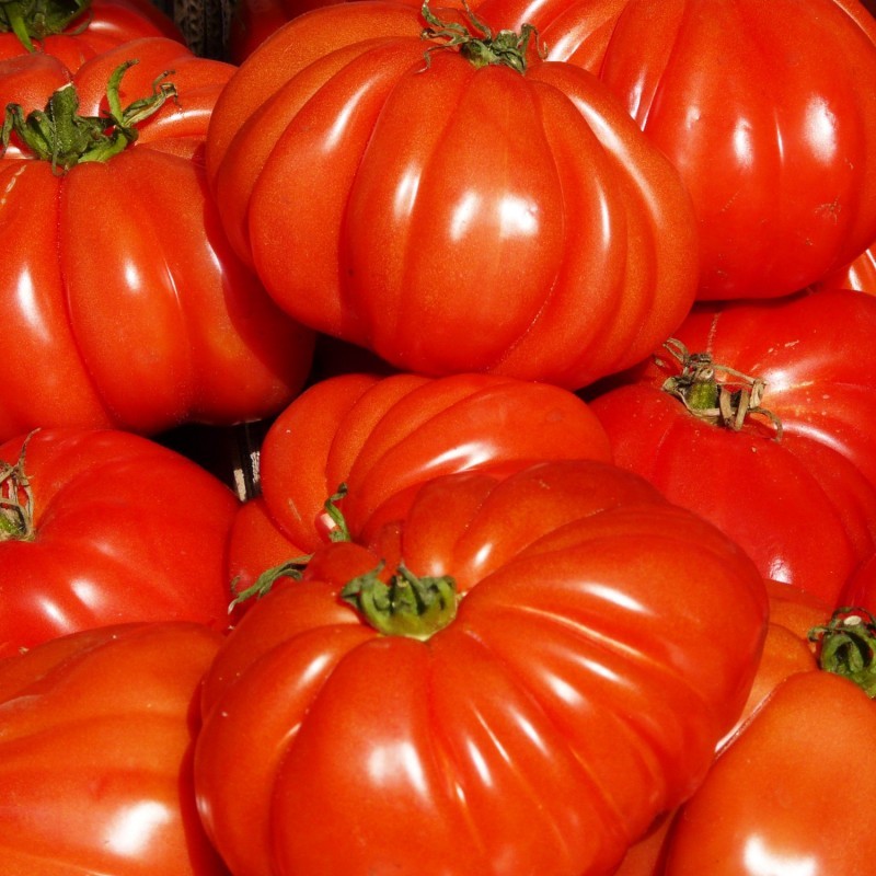 Pomodoro Cuoresisto