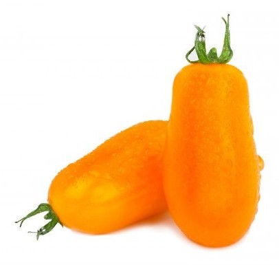 Pomodoro datterino arancione Fantino