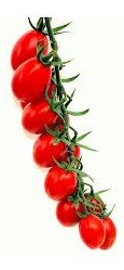 Pomodoro datterino Gocciolino