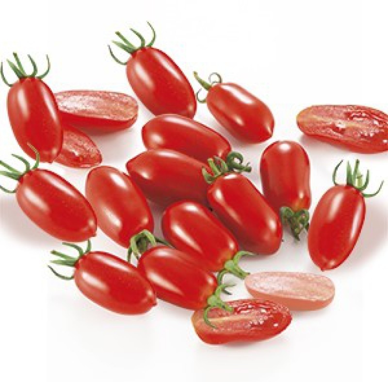 Pomodoro datterino Lobello