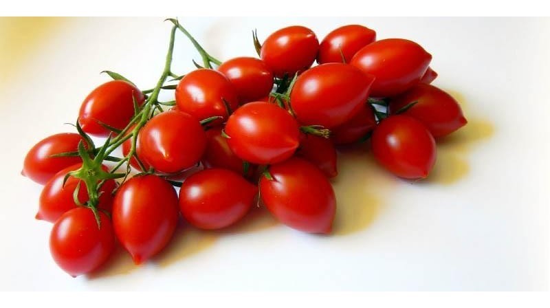 Pomodoro datterino Lucciola