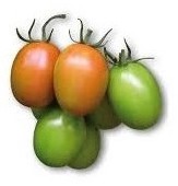 Pomodoro mezzo lungo Cencara