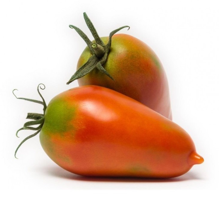 Pomodoro mezzo san marzano arrow