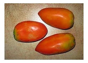 Pomodoro nasone