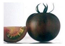 Pomodoro nero Zebrino