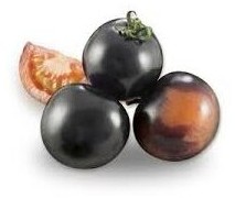 Pomodoro Nerondo