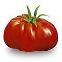 Pomodoro Patataro