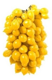 Pomodoro piennolo vesuviano giallo