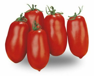 Pomodoro San Marzano Cirano
