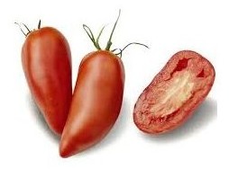 Pomodoro San Marzano Cornabel