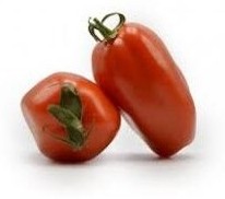 Pomodoro San Marzano giallo Solania
