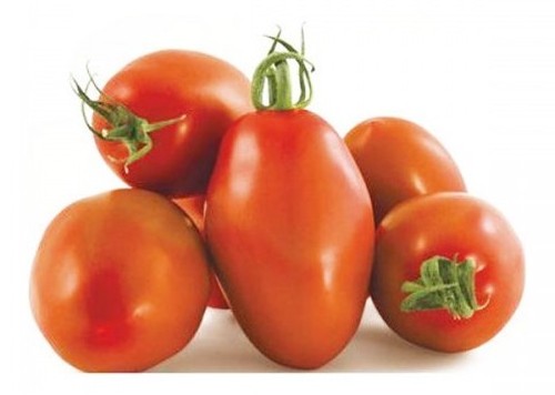Pomodoro San Marzano Giano