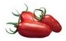 Pomodoro San Marzano Zip F1