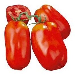 Pomodoro Scatolone