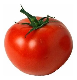 Pomodoro super gigante Homestead