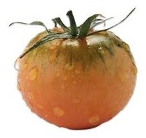 Pomodoro tipo Camone Verduro